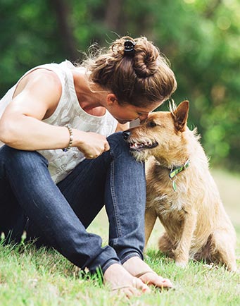 Puppy and Dog Insurance - Tesco Bank Pet Insurance